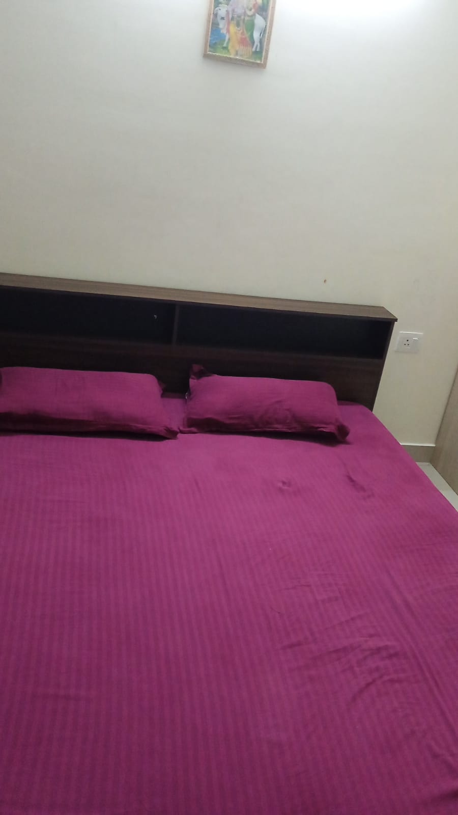 2BHK Fully furnished flat on rent at TATA New Haven Bahadurgarh